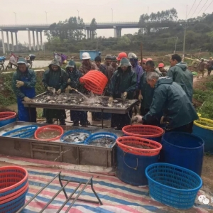 ��һ��������Bֳ�Z�~����ٍ20���f��