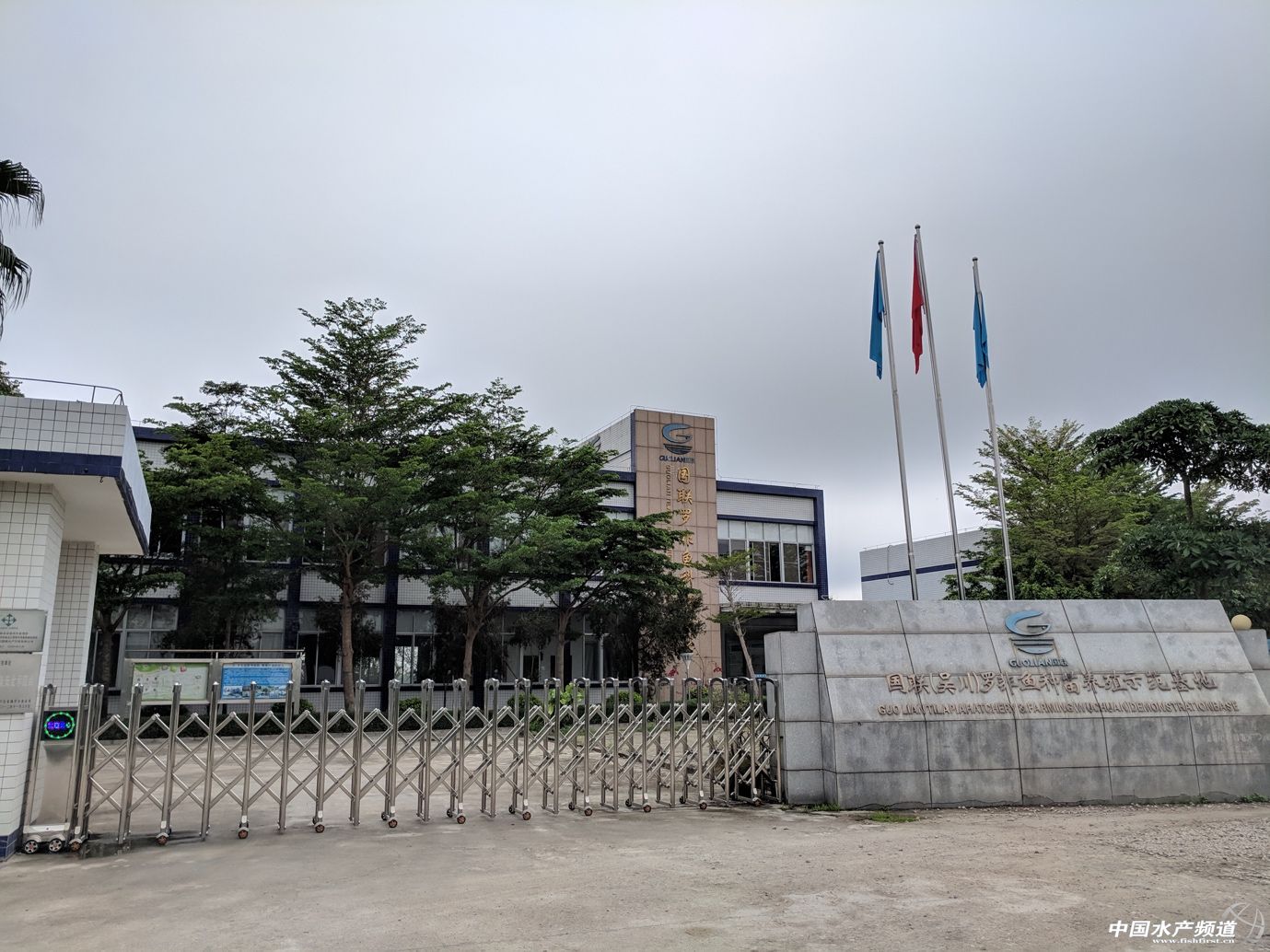 �r������ƽ��(w��n)���B(y��ng)ֳ����?q��)��ؚw�_���~�B(y��ng)ֳ