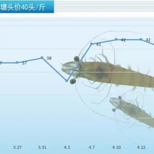 ʷ�oǰ����ꖽ�����������ɽ�r�r���¸ߣ��r�r����m������һ��