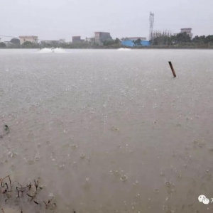 ���ꃴ���u�����B(y��ng)ֳ���±�����ˮλ���q��