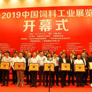 һ�Ď��㿴��2019��Ϲ��I(y��)չ���c