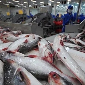 ����(n��i)���P(gu��n)����٣����a(ch��n)��ɳ�~��������