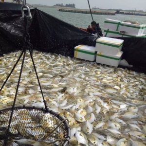 С���x(ch��ng)�؄�(chu��ng)���K�ИI(y��)���@�������䷽׌�����B(y��ng)���K�o(w��)�n����