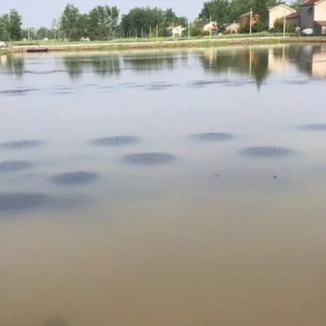 ����A��С���r���l��5��������