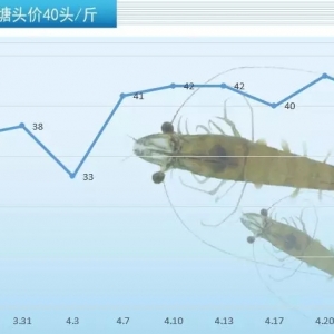 �V����ꖽ������ϝq3Ԫ������Ҫ׃��