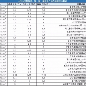 �u(m��i)�~(y��)�u(m��i)�r�ؿ���4��28��ȫ��(gu��)�����Ј�(ch��ng)���~(y��)���l(f��)�Ј�(ch��ng)�r(ji��)