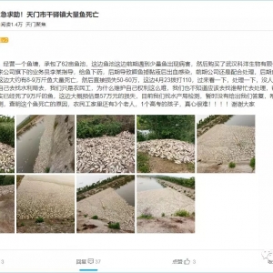 ���D���������T60�f���~�¼����������������@����