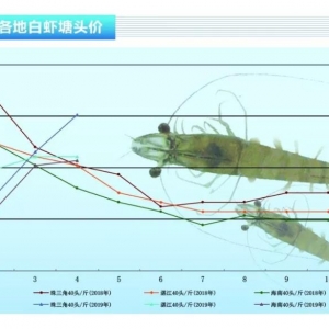 ��(du��)�r��ȫ��(gu��)�ԡ��r�ġ����r(ji��)����m(x��)�j��������ˮ�a(ch��n)ǰ�ء�2019��5�¿��Ј�(ch��ng)څ��(sh��)