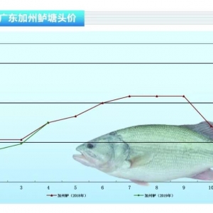 �����|������~�r�q��ϲ�ˡ�����ˮ�aǰ�ء�2019��5�¿��Ј�څ��