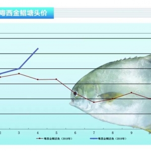 ���K���~�r��Ҋ���q��Ͷ��������������ˮ�aǰ�ء�2019��5�¿��Ј�څ��