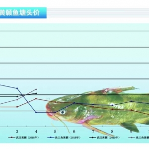 �S��~���������q1.5Ԫ/��µױ����ˡ�����ˮ�aǰ�ء�2019��5�¿��Ј�څ��