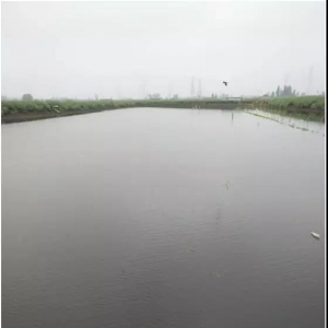 ���غ�ĳ�����������������pʧ��С����