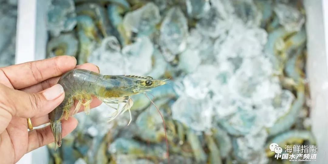 ȫ����r���m(x��)���a(ch��n)���r�r�������R���D���r�ڡ���