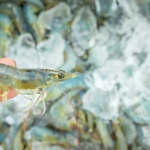 ȫ����r���m(x��)���a(ch��n)���r�r(ji��)�������R���D���r(sh��)�ڡ���