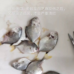 ��һ���K�~���m���q��δ��߀Ҫ�q