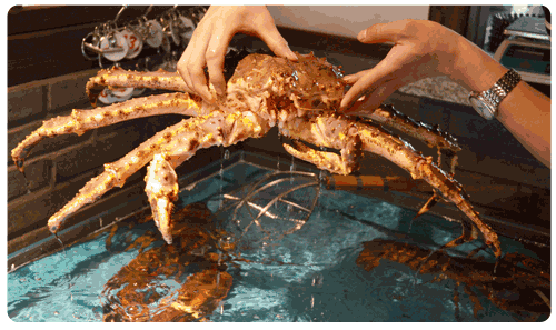 �@Щ���r̎����ʽ��ô����źóԣ�