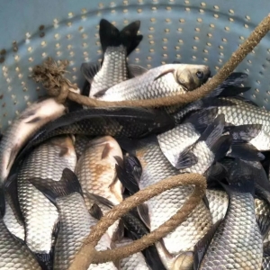 �^�m���q�����ܽ��K�a�~����ٝq0.9Ԫ/��