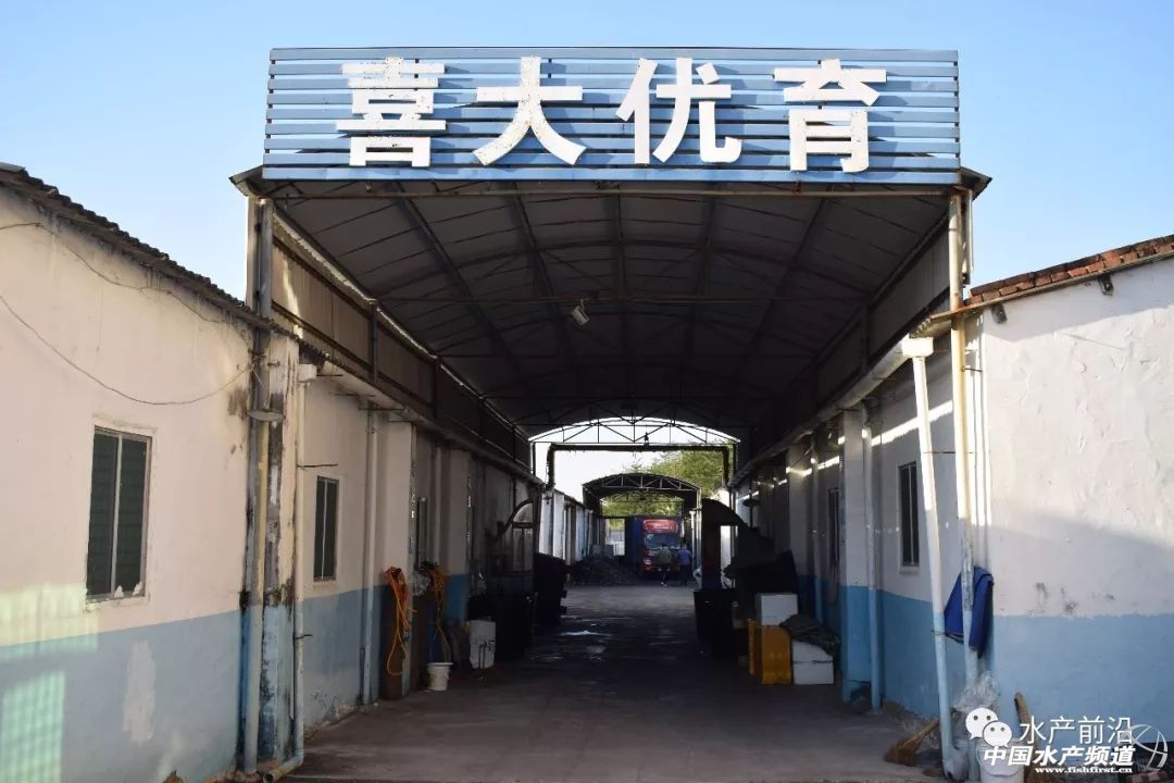 �������B(y��ng)ֳ�ӱ��ӹ��c��ͨ������ˮ�a(ch��n)�硰���ϡ�