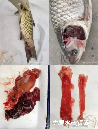 ���~�~����Ԫ���i���������΄���Ȼ������