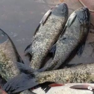 ���~������ԕr����·�����