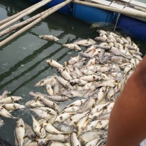 �⑍�����S���J���۶��~��ָ�B�����{