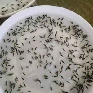 2019����ô�B(y��ng)���Z�~���x����N���P(gu��n)�I��