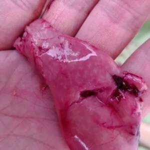 ���~�����l�l(f��)�����Ć��}���ڸ��c����