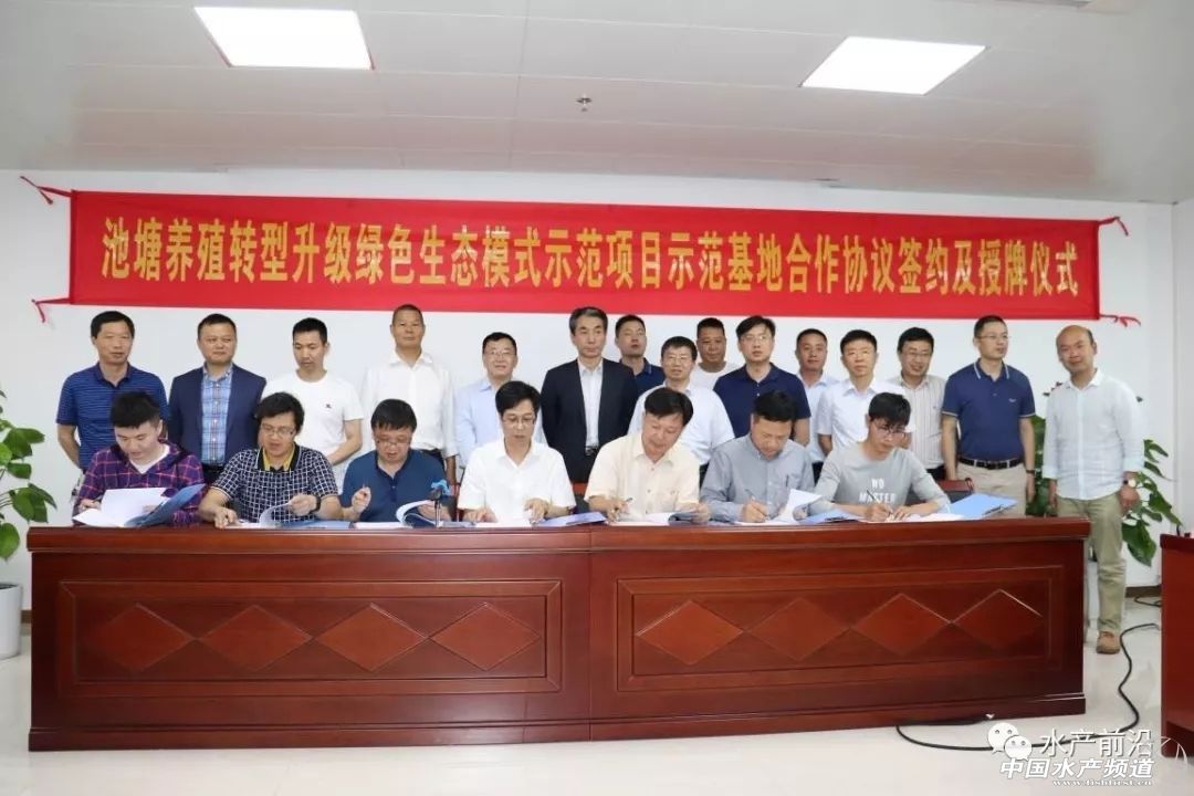 ����������B(y��ng)ֳ�D(zhu��n)�������Gɫ���B(t��i)ģʽ