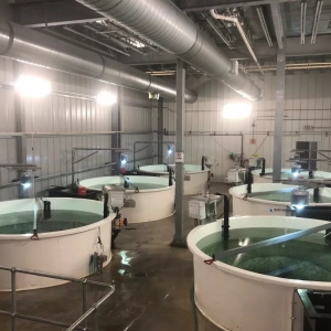 ȫ��22��ꑻ��Bֳ�����~�Ŀ��μ��Mչһ�[