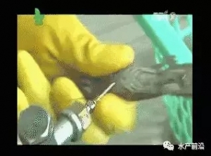 ����@900���ע�z�r�����؞ą^ԭ�����@���Όҽ���ֹ����