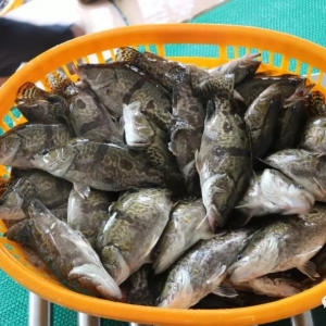 ֹ��������5��13��ȫ�����ع��~����r