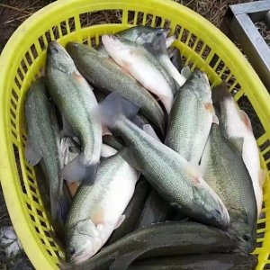 ȫ���h�t��5��13��ȫ�����ؼ����|����r