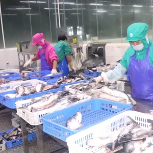 2019�������a(ch��n)��ɳ�~Ҏ(gu��)ģ���ӹ������_ʼ��