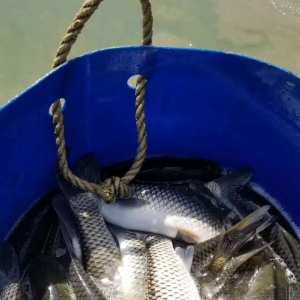 �����~�rȫ���ϝq����ꖲ��~ͻ��5Ԫ/��