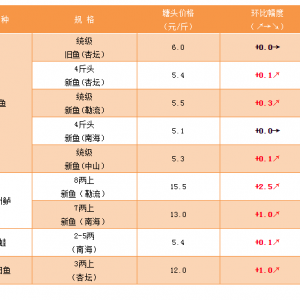 ���|�r�������ϝq���S���~�r������