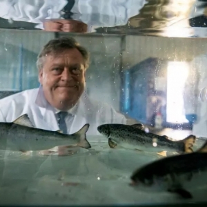 ��Ų���պ����f�h������Ų�������~�Ɍ��A���ڣ�