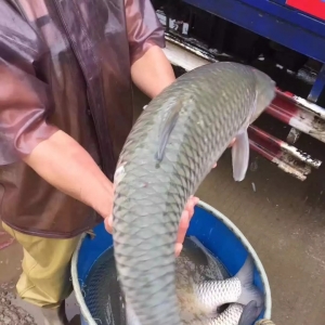 ���~����K�F���D�����^�r����������