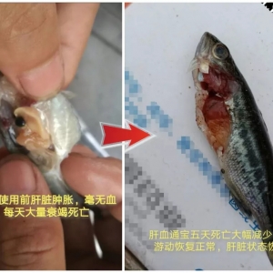 99%���B(y��ng)ֳ���]���P(gu��n)ע�������چ��}�����s������