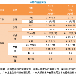 ���O���_ʼ�@ô���죬ʯ���~�r����ô���ˣ�