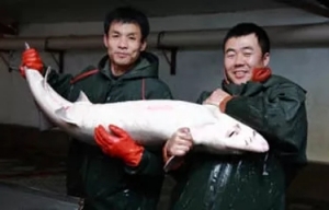 �Ї�����ȫ�����ṩ70�����~���u