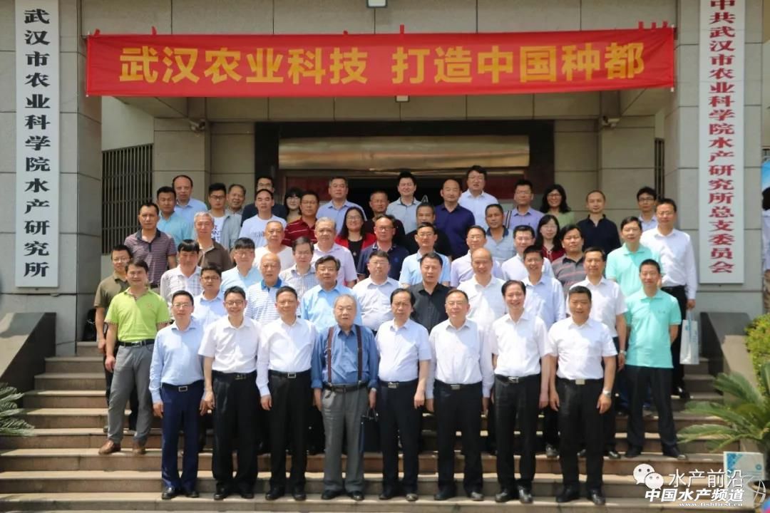 ������~�����������³ɆT