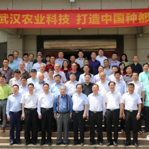 ������~�����������³ɆT