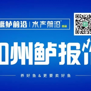 �q�q�q���Ĵ������|�_��20Ԫ���P��