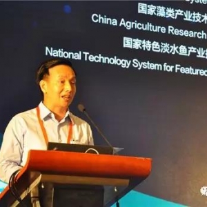 ꐵ�����Θ�(g��u)��ˮ�a(ch��n)�B(y��ng)ֳ�rֵ�