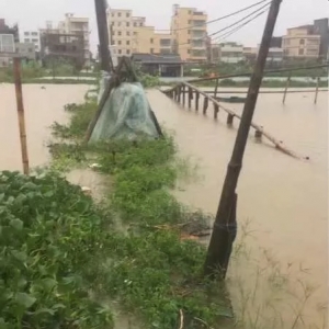 ���ꯂ��l�����~�r��з���ܲ�Ӌ�䔵