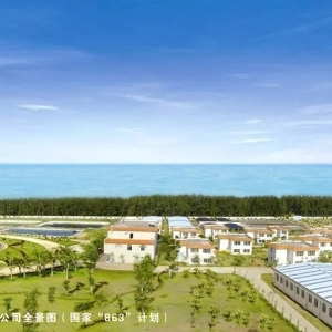 ���d�ď�(qi��ng)�󲻃H�H�������߀�зN��