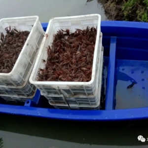 ��q��С���r��؝q���_��3Ԫ/�