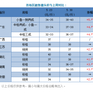 �����漱���Z�~�r��q���@��