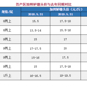 ���a�^�����|5��������