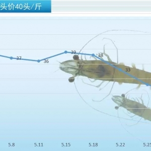 ����r�rֹ���S����6��1��ȫ�����r���^��r���������